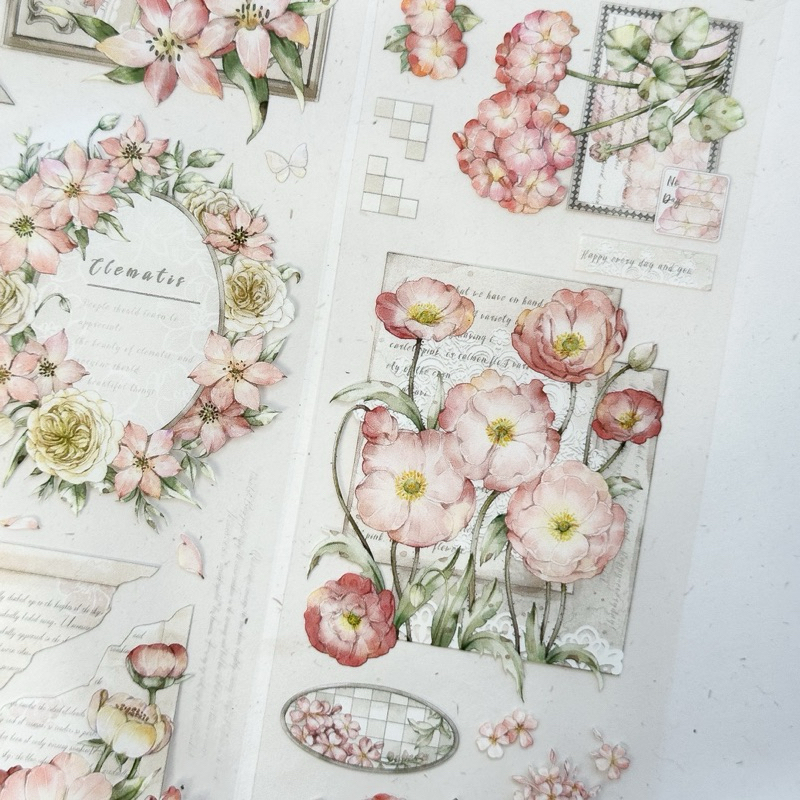 Saunery - Băng dán PET tape khung hoa thần tiên - ZYS