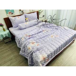 Bộ drap kèm chăn chần gòn lụa tencel mềm mát 5 món.