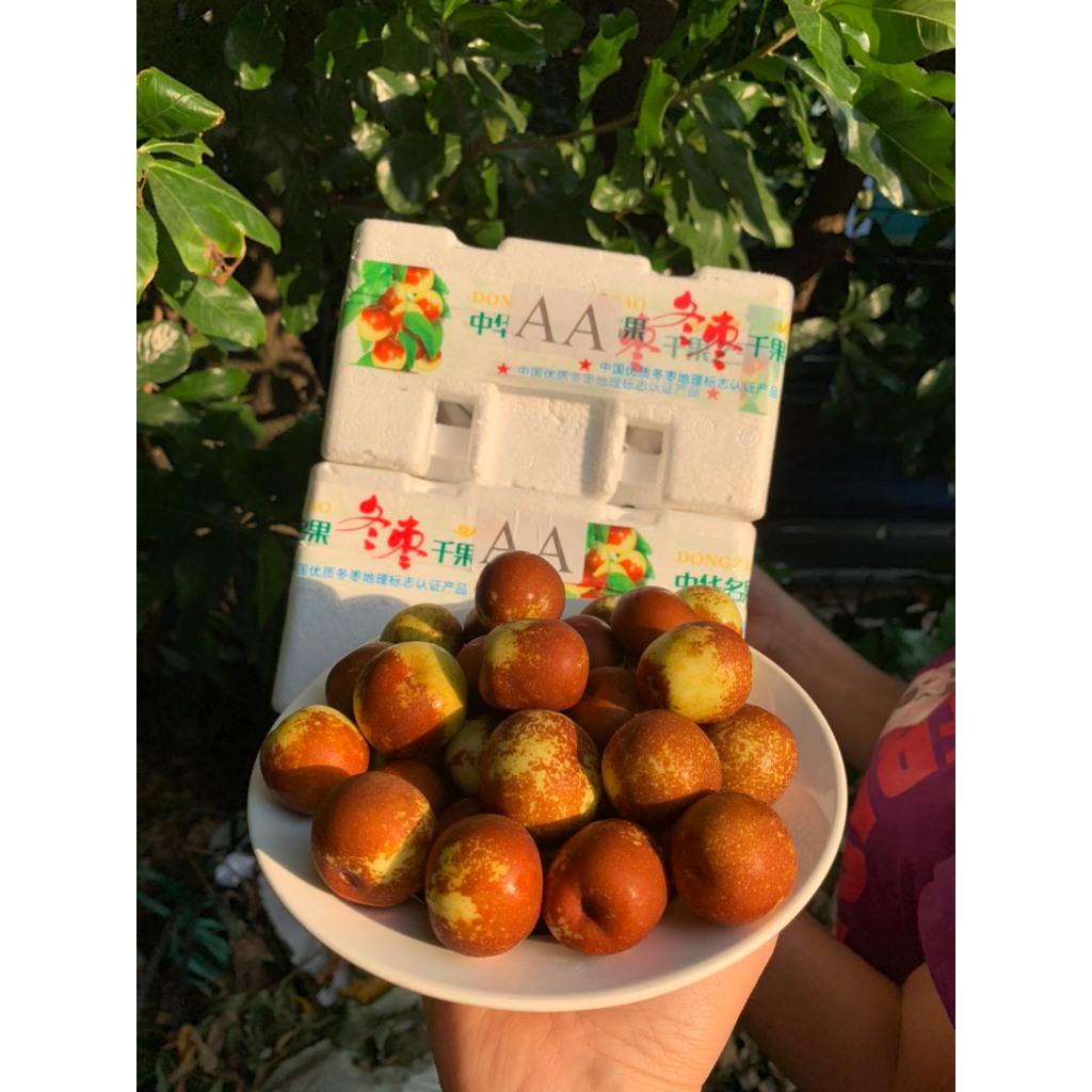 Hồng táo VIP nguyên box