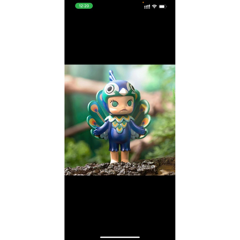 Check card Molly mô hình trưng bày