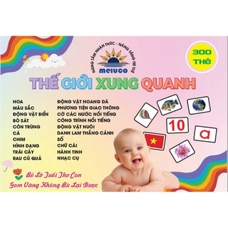 300 thẻ TGXQ thế giới xung quanh 20 chủ đề có BIT thông tin