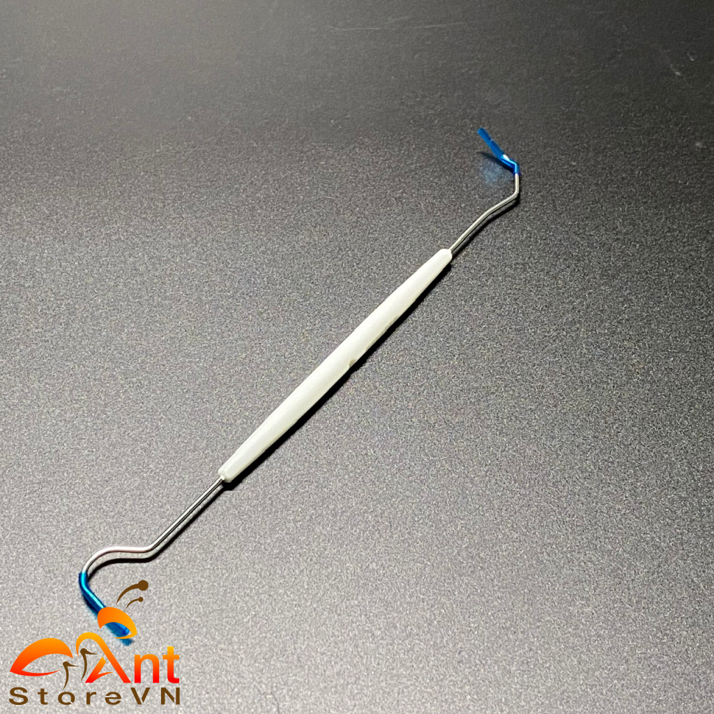 2 Móc bông , Sâu , thức ăn thừa trong Tank Kiến , Ống Nghiệm , Tank Kiến - A48