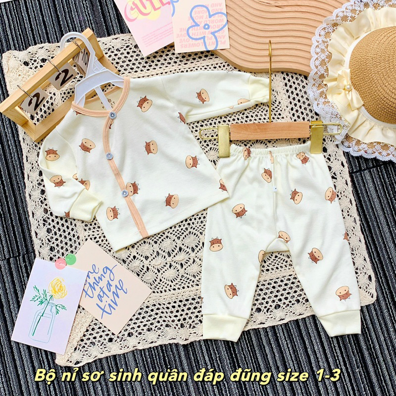 Bộ nỉ dài tay khuy chéo cho bé sơ sinh, Quần áo thu đông bé trai bé gái 0-9 months