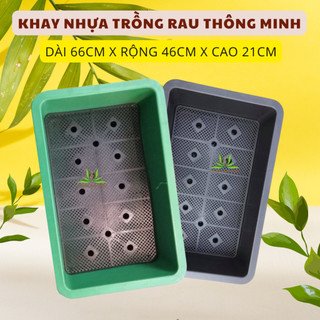 Combo 5 Khay trồng rau (D66xR46xC21cm) có lưới lọc, thoát nước tốt,chậu trồng rau bền (Vườn Sài Gòn)