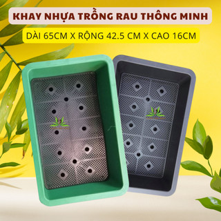 Combo 5 Khay trồng rau (D65xR43xC16cm) có lưới lọc, thoát nước tốt, chậu trồng rau bền(Vườn Sài Gòn)