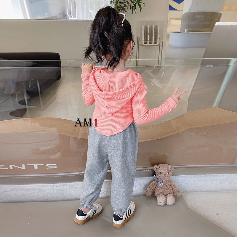 Đồ bộ bé gái quần áo dài tay - Bộ quần áo len tăm TB407 TN408