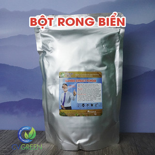 Bột rong biển dạng bột, vảy tan 100%