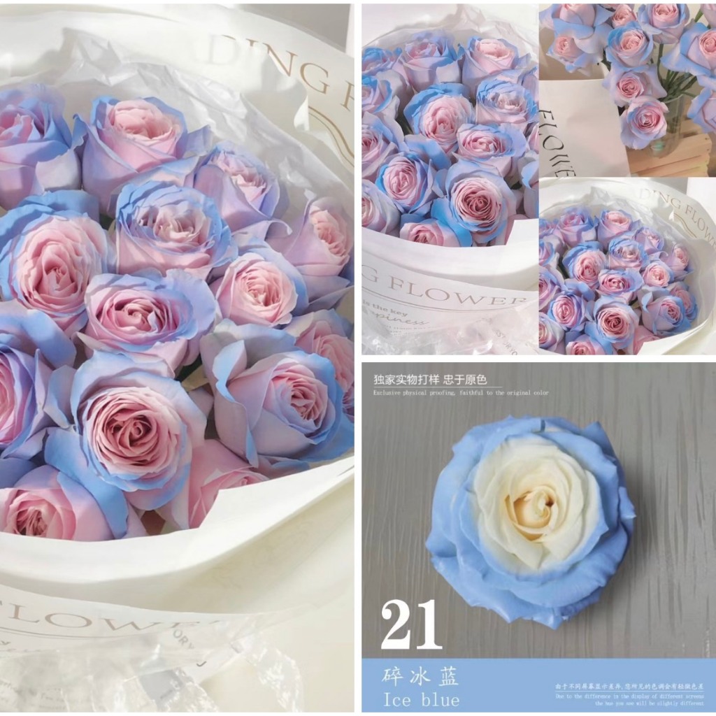 Sơn Xịt Hoa Tươi, hoa sáp, sen đá cao cấp 52 màu 450ml