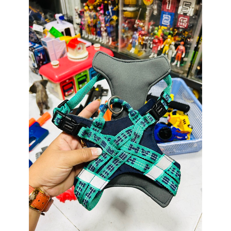 Đai dắt thú cưng đi dạo Hamshmoc chính hãng