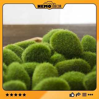 Đá rêu, đá phủ rêu xanh mô phỏng nemo decor