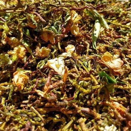 Trà sơn mật hồng sâm - Anantaybac