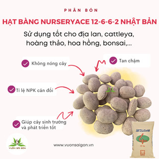Phân Hạt Bàng tan chậm Nurseryace NA 12-6-6-2 (gói 200gr) phân tan chậm chuyên cho hoa lan, hồng, cây cảnh (Vườn Sài Gòn