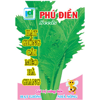 Hạt giống cải mèo Hà Giang