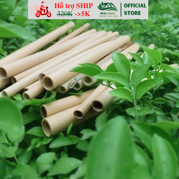 Ống hút tre chiều dài 15cm dùng cho nhà hàng, khách sạn, quà tặng doanh nghiệp sang trọng cao cấp loại 1 / HealHomes H
