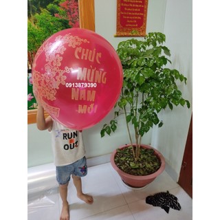 Quả bóng bay Chúc Mừng Năm Mới 60cm siêu to khổng lồ