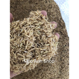 Vỏ trấu khô - Vỏ trấu trồng cây