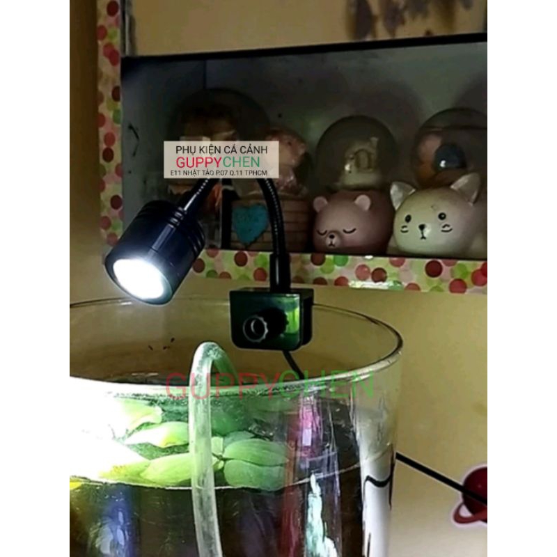 Đèn Rọi Siêu Mini Cho Bể Cá KK-F05   - Dùng Trang Trí Cho Bể Cá Mini ,  Hồ Tiểu Cảnh - Siêu Rẻ