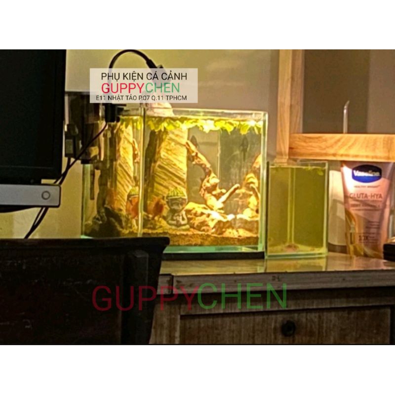 Đèn Rọi Siêu Mini Cho Bể Cá KK-F05   - Dùng Trang Trí Cho Bể Cá Mini ,  Hồ Tiểu Cảnh - Siêu Rẻ