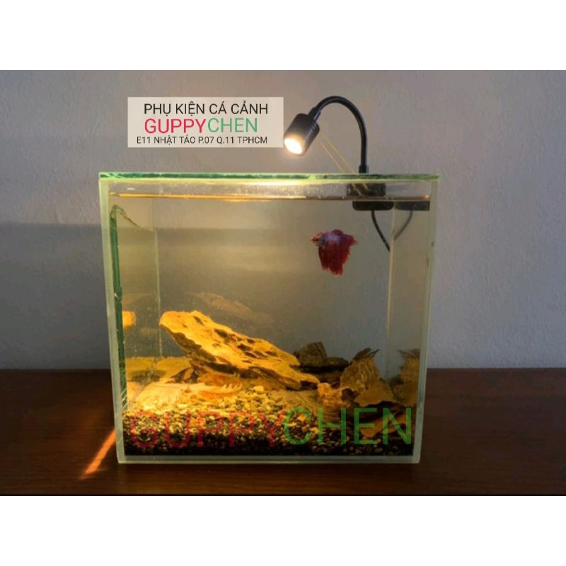 Đèn Rọi Siêu Mini Cho Bể Cá KK-F05   - Dùng Trang Trí Cho Bể Cá Mini ,  Hồ Tiểu Cảnh - Siêu Rẻ