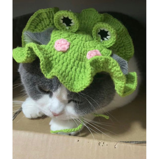 Nón ếch len handmade cho thú cưng