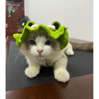 Nón ếch len handmade cho thú cưng