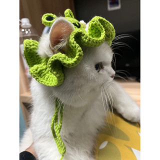 Nón ếch len handmade cho thú cưng