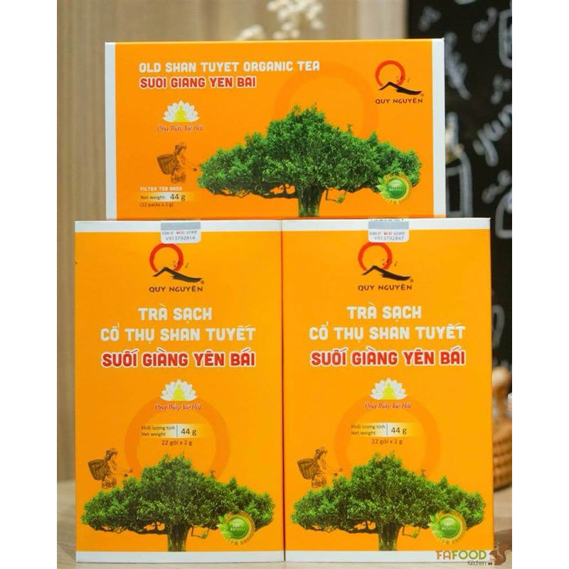 Trà túi lọc  cổ thụ Shan Tuyết Bancha Quy Nguyên Thầy Tuệ Hải 22 gói - CHÙA LONG HƯƠNG