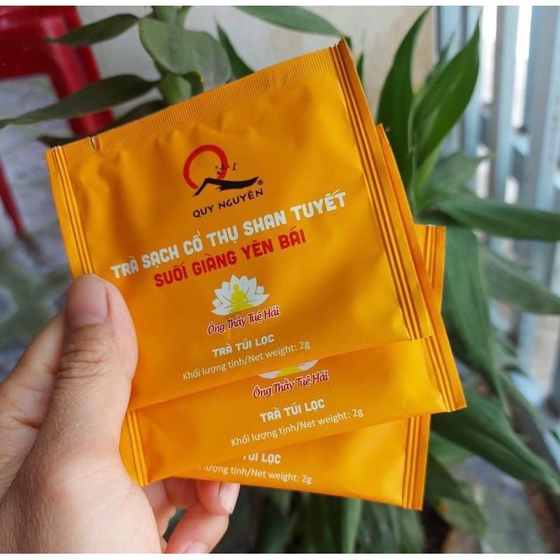 Trà túi lọc  cổ thụ Shan Tuyết Bancha Quy Nguyên Thầy Tuệ Hải 22 gói - CHÙA LONG HƯƠNG