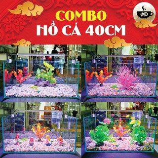 Combo Hồ Cá 40cm + Phụ Kiện Đèn Lọc Cây Sỏi Trang Trí Bể Cá Bằng Kính