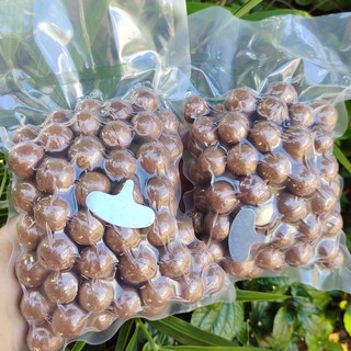 500g mắc ca sấy nứt loại 1 nhà vườn Đắk Lắk
