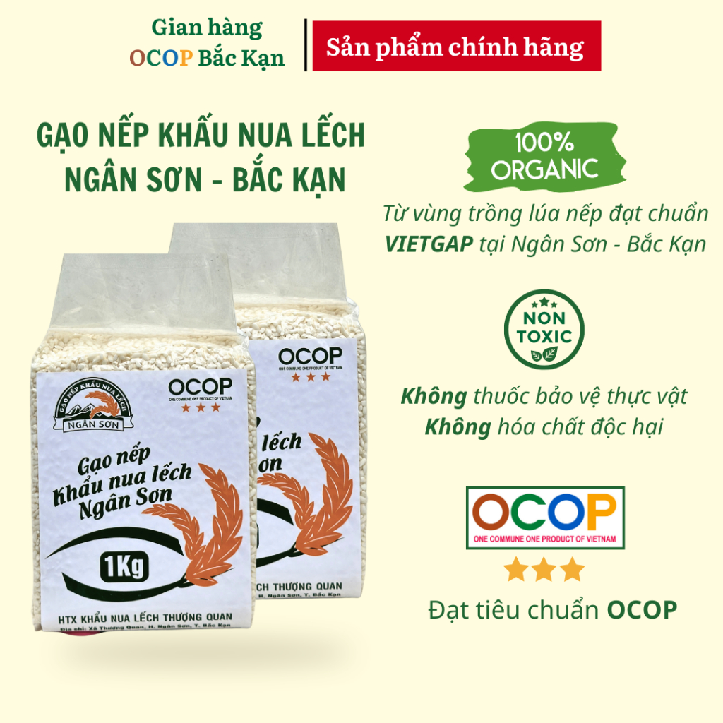 Gạo nếp Khẩu Nua Lếch Bắc Kạn hạt mẩy, mềm dẻo, thơm ngon túi 1KG