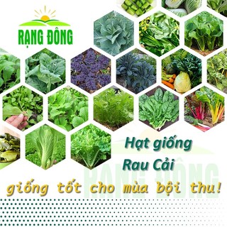 Hạt giống rau cải các loại - cải ngọt, cải bẹ xanh, cải thìa, cải thìa tím, cải ăn non, cải bó xôi, cải bẹ dưa, cải muối