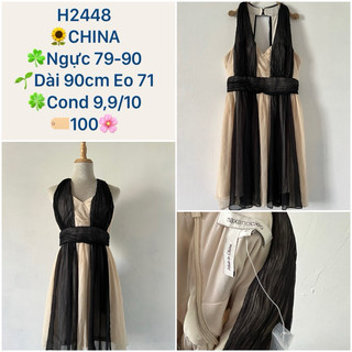 H2448 váy đi tiệc si