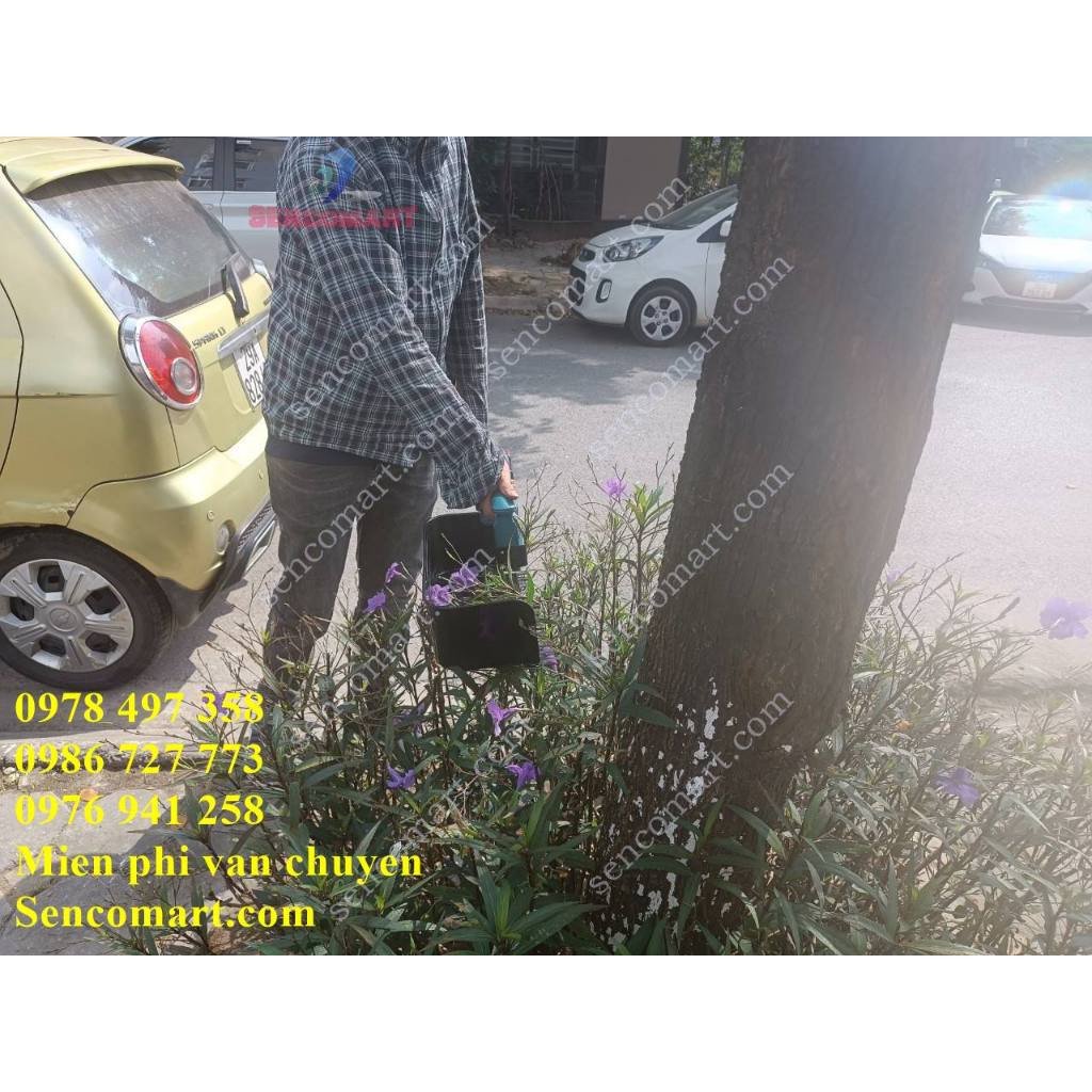 Mua máy cắt rau má ở đâu bán