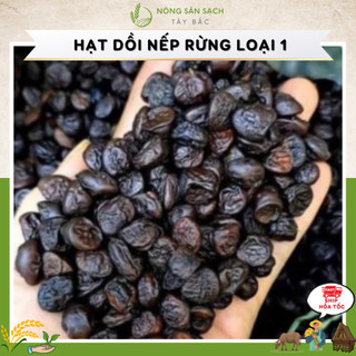Hạt dổi nếp rừng loại 1 . hạt to đẹp. giá 1k/ 1 hạt . .