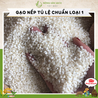1 kg gạo Nếp Tú Lệ Loại 1 dẻo thơm đặc sản Tú Lệ không pha trộn chuẩn Tú Lệ