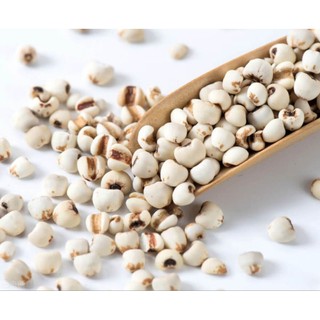 Ý dĩ (hạt bo bo) loại hữu cơ loại Việt Nam và Trung Quốc 100g