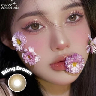 1 Cặp Lens kính áp tròng Bling Brown - nâu Tây vân sáng Filter giãn tròng 14.2mm độ cận 0 - 7 độ (kèm khay gương)