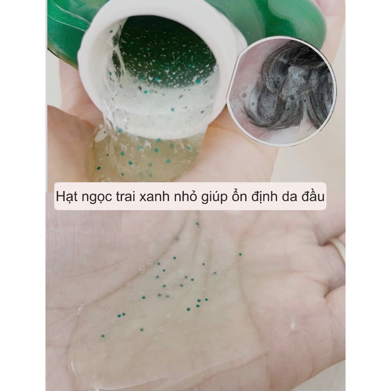 Dầu gội Dr.Groot Microbiome Genetic 7 Scaling Shampoo 400ml