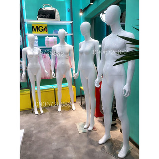 Manocanh nữ đầu trứng