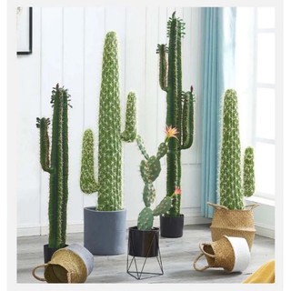 Cây xương rồng giả trang trí size lớn, trang trí nhà cửa phong cách hiện đại/ Cây xương rồng giả nhiều kích thước.