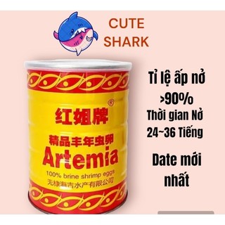 Artemia ấp nở lon vàng thời gian ấp nở nhanh - Tỉ lệ nở cao nguồn thức ăn dinh dưỡng cho cá cảnh