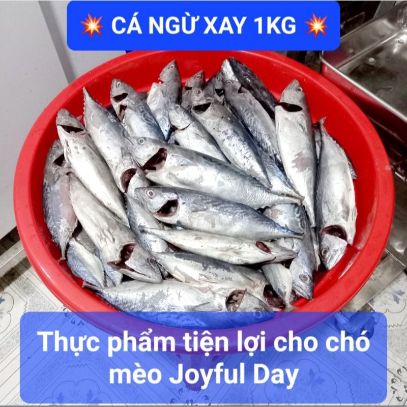 Cá Ngừ xay/Cá nguyên con làm raw/pate tươi cho chó mèo 🐱🐶❤️ 1Kg - Thức ăn tươi cho chó mèo - Joyful Day - SHIP HỎA TỐC