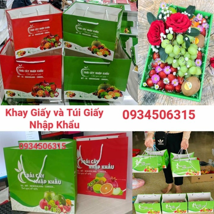 Combo 10 chiếc Túi Giấy và 10 chiếc Khay Giấy đựng hoa quả đi biếu tặng sang đẹp