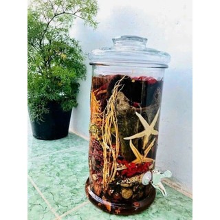 Minh Mạng Thang loại 35 vị