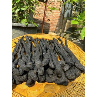 Nhục Thung Dung loại 1 hàng chuẩn Tây Bắc