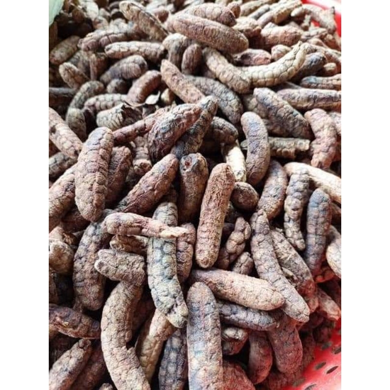 Chuối hột rừng nguyên quả 1kg