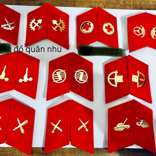 Tiêt áo, ve gắn áo hình Binh chung