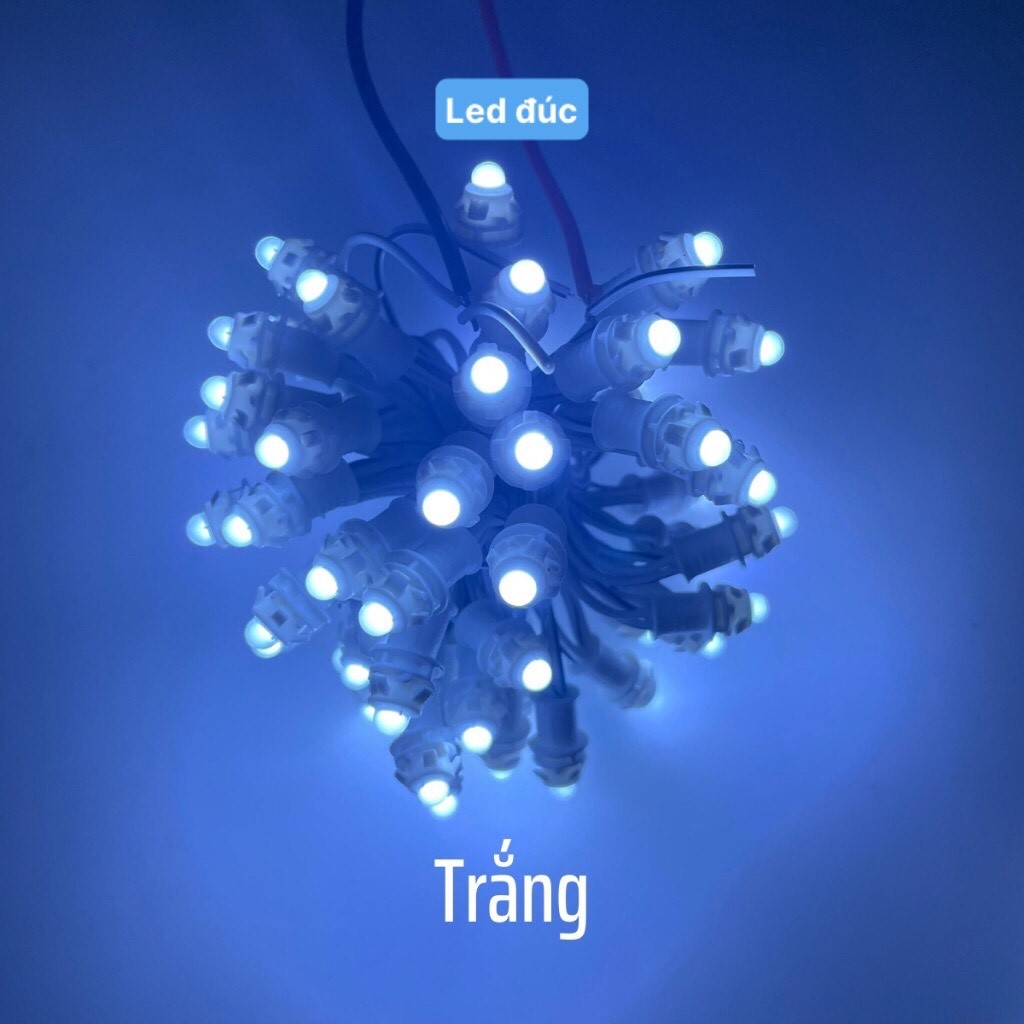 Dây led đúc cuốn cây f5 điện 12v, phi 5 đế 8, dài 3m, gồm 50 mắt, đủ màu, trang trí ngoài trời, gắn biển quảng cáo