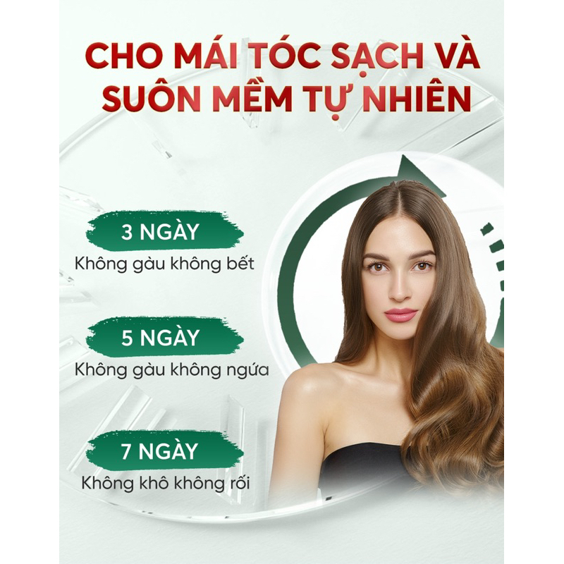 Combo Dầu Gội - Kem Xả Tóc Tía Tô ZENNY COSMETIC, Giúp Nuôi Dưỡng, Ngăn rụng tóc